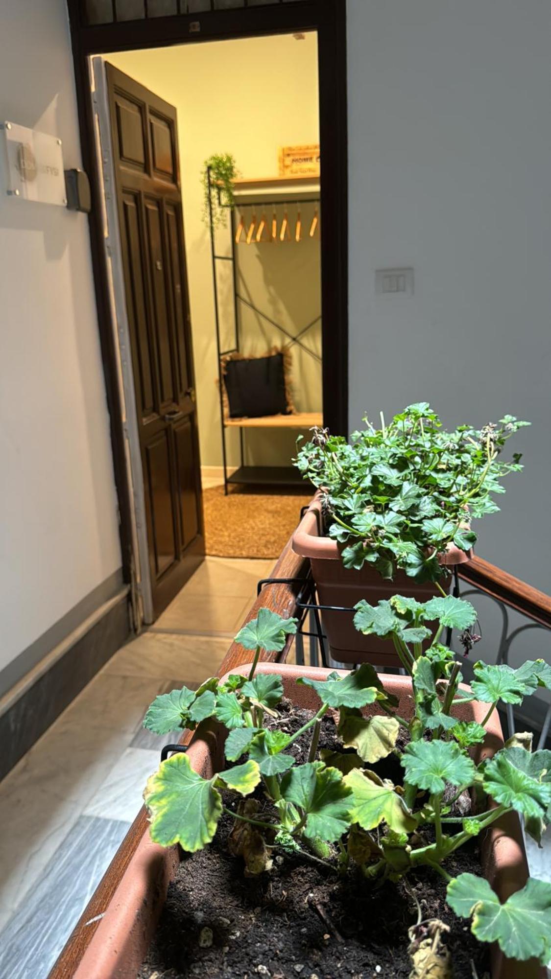 Domus Fysi Hotel Palermo Exterior photo